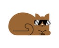 Cool cat with glasses. Serious cat with sunglasses Royalty Free Stock Photo