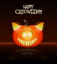 Cool cat head made from pumpkin. Royalty Free Stock Photo