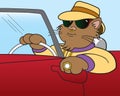 Cool Cat Royalty Free Stock Photo