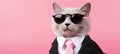 Cool cat in shades stylish feline in suit and tie on pink background with copy space