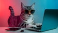 Cool cat in sunglasses typing on laptop in hackerinspired settin. Concept Cat, Sunglasses, Laptop, Royalty Free Stock Photo