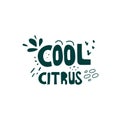 Cool citrus hand drawn flat lettering, typography