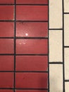 Tile