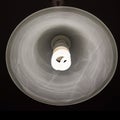 Cool daylight cfl bulb lamp with a lamp shade