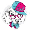 Cool dog in cap and glasses. Cute puppy. Royalty Free Stock Photo