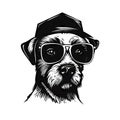 Cool Dog Eyeglasses Isolated, Funny Dogs for Print, AI Generative Illustration