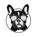 Cool Dog Eyeglasses Isolated, Funny Dogs for Print, AI Generative Illustration