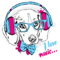 Cool dog with headphones and tie. Royalty Free Stock Photo