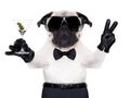 Cool dog peace Royalty Free Stock Photo