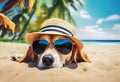 Cool dog with sunglasses and hat on the beach Royalty Free Stock Photo