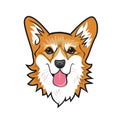 Cool dog welsh corgi face. Color vector illustration