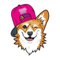Cool dog welsh corgi face with pink cap. Color vector illustration Royalty Free Stock Photo