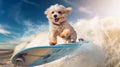 cool dog white poodle surfer surfer in sunglasses on a board on a wave in the ocean. Place for text Royalty Free Stock Photo