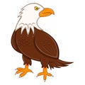 Cool Eagle cartoon