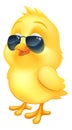 Cool Easter Baby Chick Chicken Bird in Sunglasses