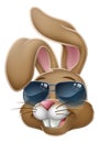 Cool Easter Bunny Rabbit in Sunglasses Cartoon Royalty Free Stock Photo