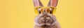 Cool easter bunny with sunglasses giving thumbs up on pastel background, perfect for adding text