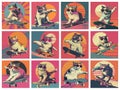 Cool Felines Riding Skateboards in Sunglasses