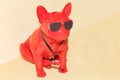 A cool figurine of a red guard dog with black glasses and a hidden surveillance camera on his forehead Royalty Free Stock Photo