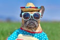 Cool French Bulldog dog dressed up with sunglasses, a colorful straw hat and poncho gown