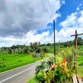 Cool and fresh rural nature in Jatiluwih Bali.