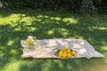 Cool freshly made lemonade and fruits Royalty Free Stock Photo