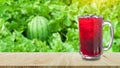 Cool freshly Watermelon juice in a glass on wooden table with watermelon farm background, Summer drinks with ice Royalty Free Stock Photo