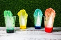 Cool and fun science experiment for school children kids colorful lettuce cabbage leaf in food coloring