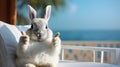 Cool fun white bunny rabbit chillin on chair at beach with thumbs up background