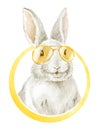 Cool Funny Bunny. Sunglasses look