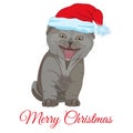 Cool funny little kitten in Santa hat vector flat illustration Royalty Free Stock Photo