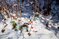 Cool funny Santa Claus with sun glasses sitting on the snow Royalty Free Stock Photo