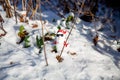 Cool funny Santa Claus with sun glasses sitting on the snow Royalty Free Stock Photo