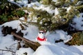 Cool funny Santa Claus with sun glasses sitting on the snow Royalty Free Stock Photo