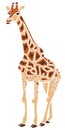 Cool Giraffe Illustration Royalty Free Stock Photo