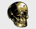 detailed cool golden skull illustration Royalty Free Stock Photo