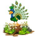 Cool Green Blue Peacock With Wood Tree, Rock, And White Flower Cartoon