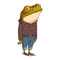 Cool Guy, isolated vector illustration. Serene anthropomorphic frog in a leather jacket