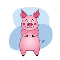 Cool. Hand drawn cute Pig. New year of pig 2019 symbol
