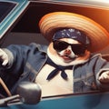 cool hispanic gangster overweight chihuahua drive vintage car anthropomorphic funny character