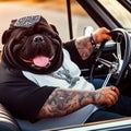 cool hispanic gangster overweight dog drive ride lowrider retro car anthropomorphic funny character