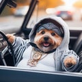 cool hispanic gangster terrier dog drive drive lowrider retro car anthropomorphic funny character