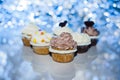 Cool iced cupcakes for sweet teeth Royalty Free Stock Photo