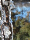 Cool icicles on a drip chain