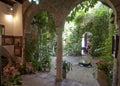 Cool interior courtyard in Cordoba, Spain
