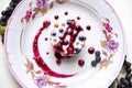 Cool jelly with fresh berries on a light plate Royalty Free Stock Photo