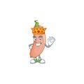 Cool King of banana squash on cartoon character style