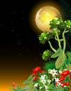Cool Night View With Full Moon And Tropical Plant Flower Cartoon