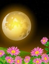 Cool Landscape Grass Field Night View With Pink Flower And Moonlight Cartoon