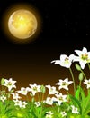 Cool Landscape Grass Hill Night View With Moonlight And White Flower Cartoon